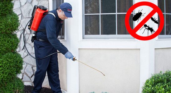 Erenler Hamam Böceği İlaçlama böcek ilaçlama ve haşere kontrolü — ilaclama-tr.com